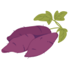 Camote icon