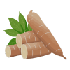 Cassava icon