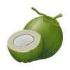 Coconut icon
