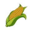 Corn icon
