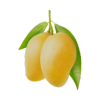 Mango icon