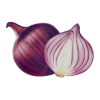 Onion icon