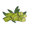 Sugarcane icon